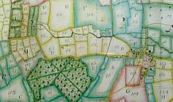 Extract from manuscript estate map of Winkburn dating from 1766, showing fields, woods, roads, village layout.