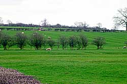 Ridge and furrow at Willoughby-on-the-Wolds: The telltale signs of former ploughing on land now used for pasture at Willoughby-on-the-Wolds. In the sixteenth century the Willoughby family supplied most of their grain requirements from their lands in south Nottinghamshire.